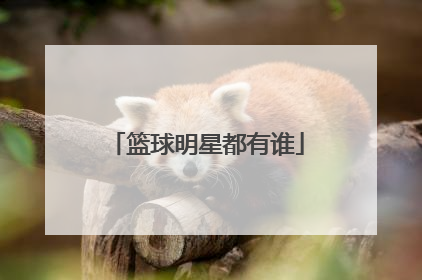 篮球明星都有谁