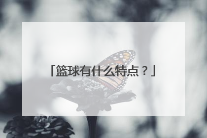 篮球有什么特点？