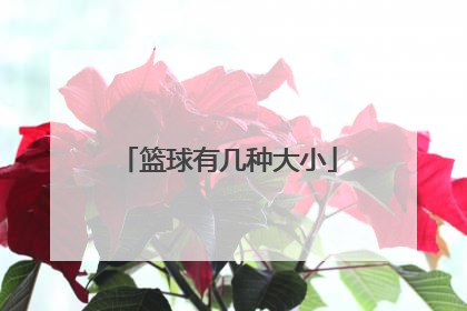 篮球有几种大小