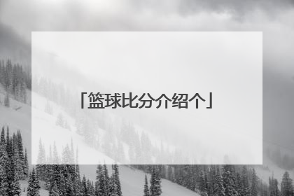 篮球比分介绍个