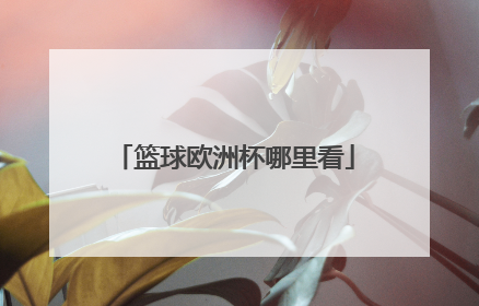 篮球欧洲杯哪里看