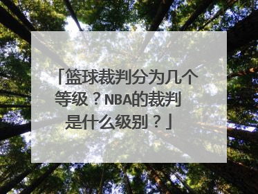 篮球裁判分为几个等级？NBA的裁判是什么级别？