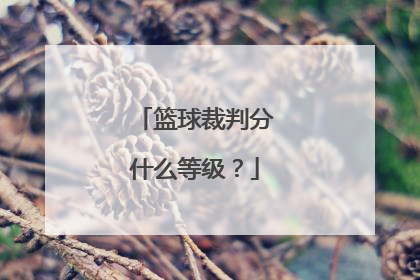 篮球裁判分什么等级？