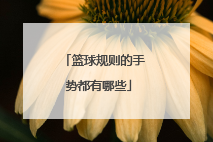篮球规则的手势都有哪些