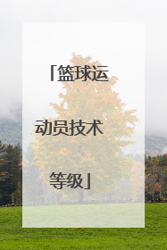 篮球运动员技术等级