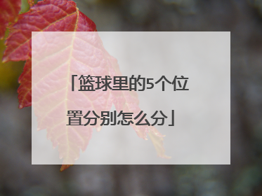 篮球里的5个位置分别怎么分