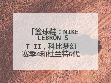 篮球鞋：NIKE LEBRON ST II，科比梦幻赛季4和杜兰特6代简版哪款好些？