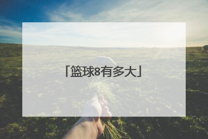 篮球8有多大