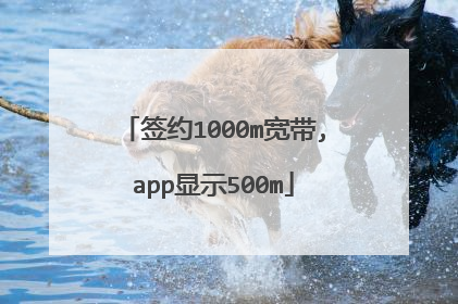 签约1000m宽带,app显示500m