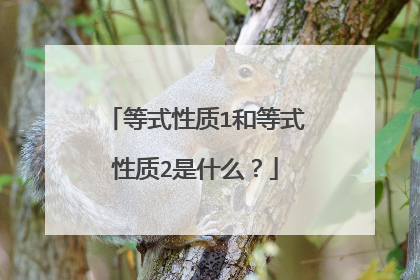 等式性质1和等式性质2是什么?