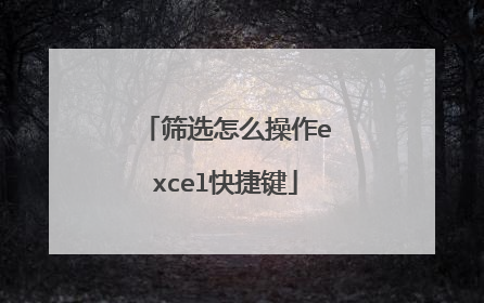 筛选怎么操作excel快捷键