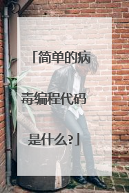 简单的病毒编程代码是什么?