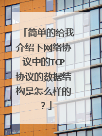 简单的给我介绍下网络协议中的TCP协议的数据结构是怎么样的？