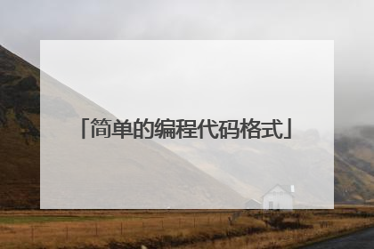 简单的编程代码格式