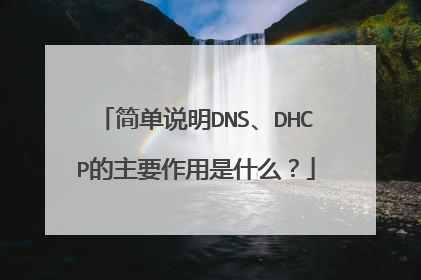 简单说明DNS、DHCP的主要作用是什么？