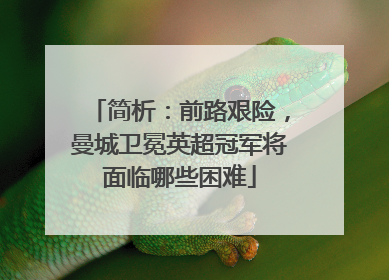 简析：前路艰险，曼城卫冕英超冠军将面临哪些困难