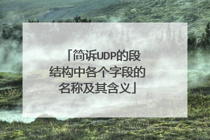 简诉UDP的段结构中各个字段的名称及其含义