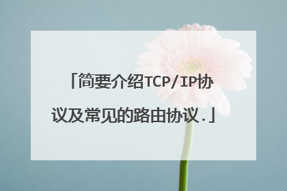 简要介绍TCP/IP协议及常见的路由协议.