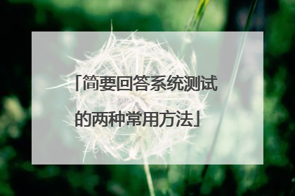 简要回答系统测试的两种常用方法