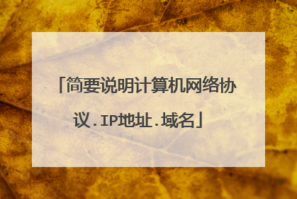 简要说明计算机网络协议.IP地址.域名