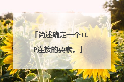 简述确定一个TCP连接的要素。