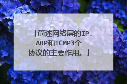 简述网络层的IP.ARP和ICMP3个协议的主要作用。