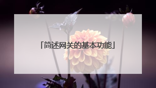 简述网关的基本功能