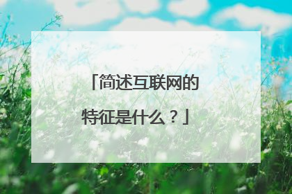 简述互联网的特征是什么?