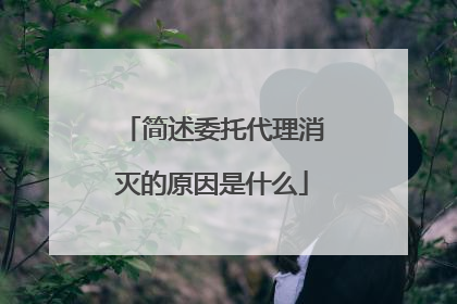 简述委托代理消灭的原因是什么