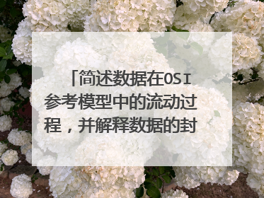 简述数据在OSI参考模型中的流动过程，并解释数据的封装与解装。