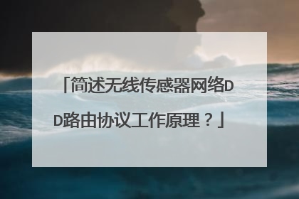 简述无线传感器网络DD路由协议工作原理?