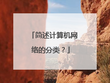 简述计算机网络的分类？
