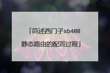 简述西门子xb408静态路由的配置过程