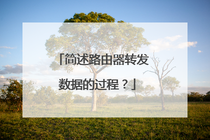 简述路由器转发数据的过程?