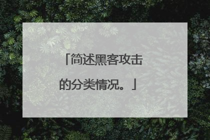 简述黑客攻击的分类情况。