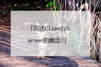 简述Client/Server的概念?
