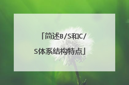 简述B/S和C/S体系结构特点