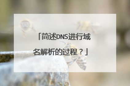 简述DNS进行域名解析的过程?