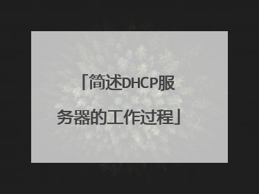 简述DHCP服务器的工作过程