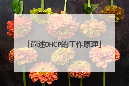 简述DHCP的工作原理