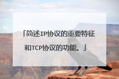 简述IP协议的重要特征和TCP协议的功能。