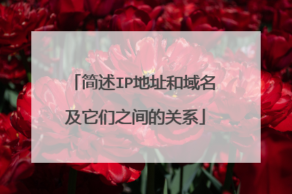 简述IP地址和域名及它们之间的关系