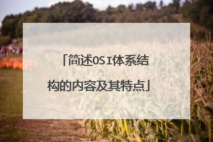 简述OSI体系结构的内容及其特点
