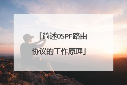 简述OSPF路由协议的工作原理