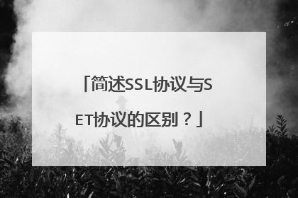 简述SSL协议与SET协议的区别?