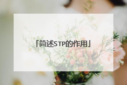 简述STP的作用