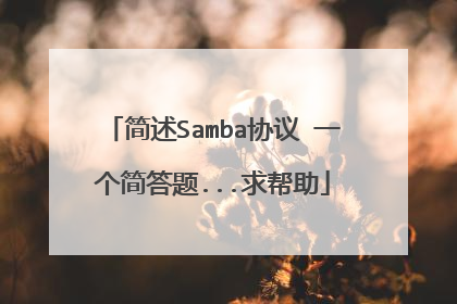 简述Samba协议 一个简答题...求帮助