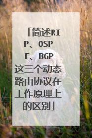 简述RIP、OSPF、BGP这三个动态路由协议在工作原理上的区别