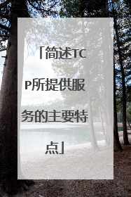 简述TCP所提供服务的主要特点