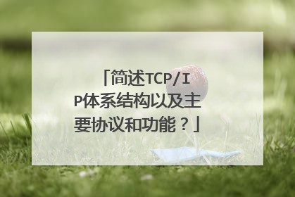 简述TCP/IP体系结构以及主要协议和功能？